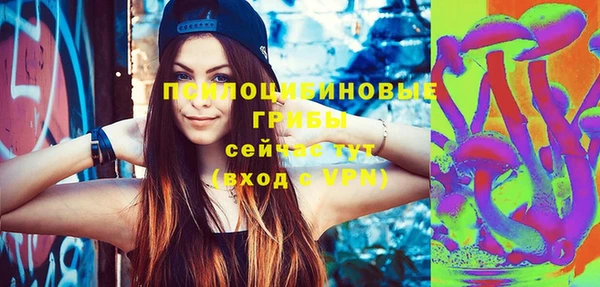 Альфа ПВП Богородицк
