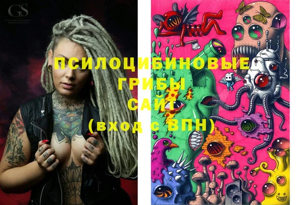 PSILOCYBIN Богданович