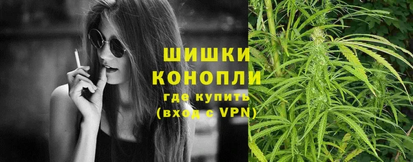 PSILOCYBIN Богданович