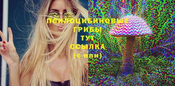 гашик Богородск